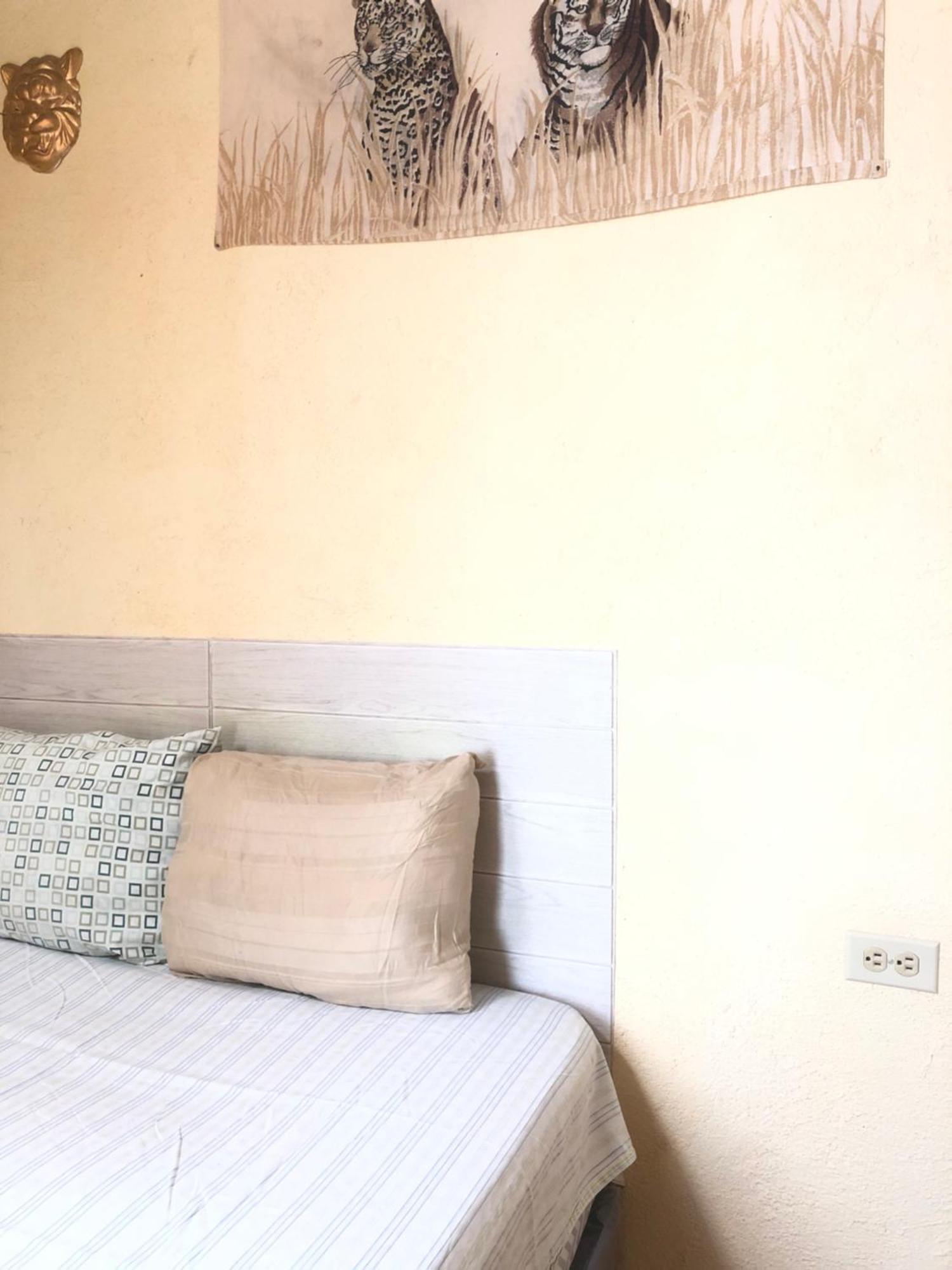 Hospedaje Basico El Jaguar Otel Antigua Dış mekan fotoğraf